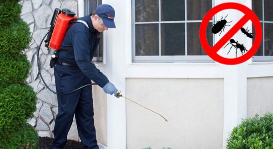 Taşlıçay Fare İlaçlama böcek ilaçlama ve haşere kontrolü — ilaclama-tr.com
